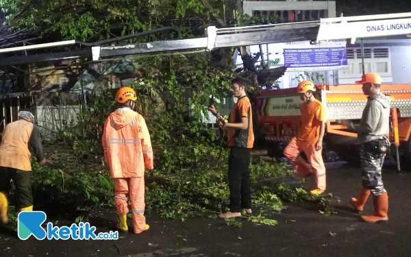 Thumbnail Memasuki Musim Hujan, BPBD Kota Malang Catat Lima Peristiwa Pohon Tumbang dalam Sepekan