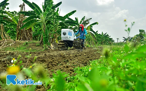 Thumbnail Berita - [Berita Foto] Traktor Listrik untuk Pertanian dengan Kearifan Lokal