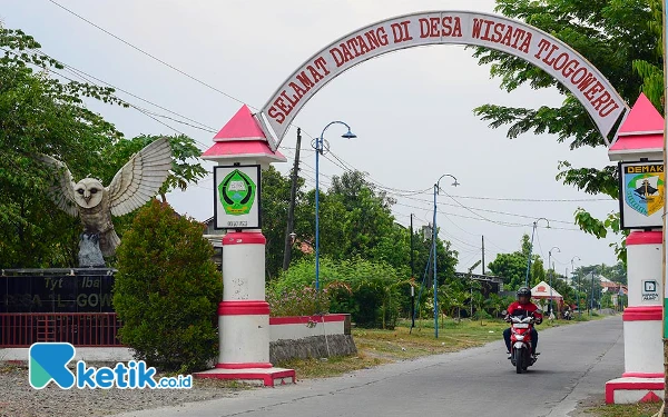 Thumbnail Pengendara sepeda motor melintasi Gapura Desa Tlogoweru, Kecamatan Guntur, Kabupaten Demak, Jawa Tengah. Tlogoweru dikenal masyarakat luas sebagai desa wisata edukasi yang mengembangkan burung hantu (Tyto Alba) untuk mengatasi serangan hama tikus perusak lahan pertanian. Luas desa ini mencapai 291,065 Ha terdiri atas tanah sawah 144,922 Ha, tanah tegalan (bedengan) 61,779 Ha, tanah pemukiman 62,110 Ha, serta tanah lainnya mencapai 21,033 Ha. (Foto: Achmad Fazeri/Ketik.co.id)