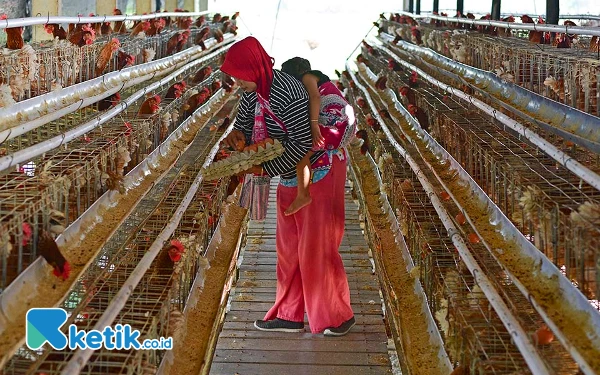 [Berita Foto] Lewat Optimalisasi Bumdes Farm, PEPC Tingkatkan Ekonomi Masyarakat