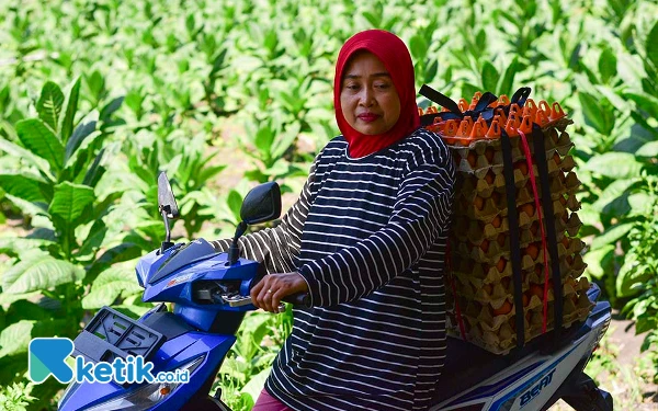 Thumbnail Seorang pekerja, Yanti, tampak tersenyum tipis sebelum mendistribusikan ayam telur kepada pelanggan di wilayah Kecamatan Purwosari, Kabupaten Bojonegoro, Jawa Timur. (Foto: Achmad Fazeri/Ketik.co.id)