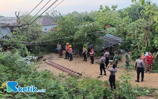 Thumbnail Angin Kencang Terjang Kecamatan Tambelengan Sampang, Rumah Bonardi Rusak Tertimpa Pohon