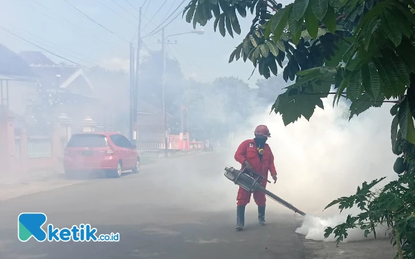 Thumbnail Berita - Merajalela! DBD di Pacitan Capai 559 Kasus, 268 Warga Terjangkit Leptospirosis