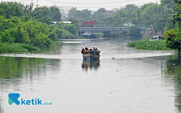 Thumbnail Dengan perahu tradisional, sejumlah petugas gabungan berangkat untuk mendistribusikan logistik Pilkada serentak 2024 menuju Tempat Pemungutan Suara (TPS) 11 di Dusun Pucukan, Desa Gebang, Kecamatan Sidoarjo, Kabupaten Sidoarjo, Jawa Timur, pada Selasa 26 November 2024. Petugas gabungan yang berasal dari Kelompok Panitia Pemungutan Suara (KPPS), TNI, Polri, dan Linmas harus melintasi sungai karena lokasi TPS 11 ada di daerah terpencil. (Foto: Achmad Fazeri/Ketik.co.id)