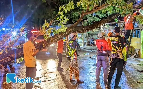 Thumbnail Berita - Sejumlah Pohon Tumbang di Kota Cilegon Akibat Diguyur Hujan Deras Selama 2 Hari