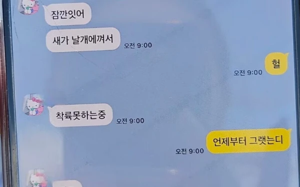 Thumbnail Berita - Pesan KakaoTalk Terakhir Penumpang Pesawat Jeju Air di Detik-Detik Terakhir sebelum Kecelakaan