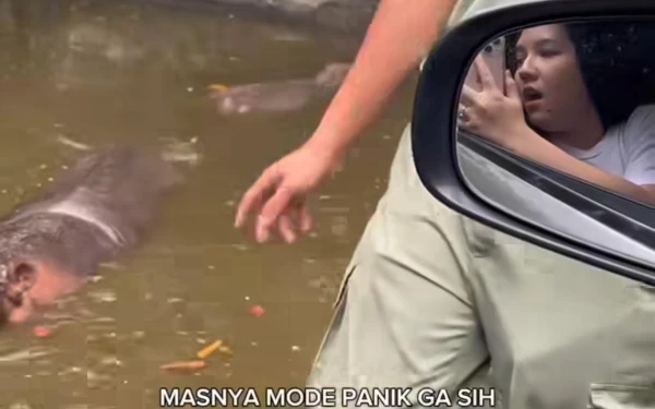 Thumbnail Berita - Viral Petugas Taman Safari Prigen Dituduh Terima Pungli, Pembuat Video 'Dirujak' Netizen