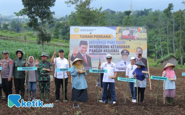 Thumbnail Berita - Bupati Bandung Luncurkan Tanam Perdana Padi Gogo di Lahan Tidak Produktif