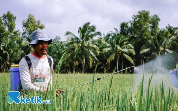 Thumbnail Berita - Meski Jadi Lumbung Pangan Nasional, Banyuasin Masih Kekurangan Generasi Petani