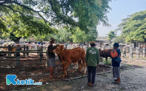 Thumbnail Penjual Nasi di Pasar Hewan Panceng Gresik Terkena Imbas Wabah PMK