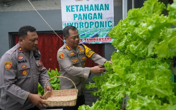 Thumbnail Berita - Polrestabes Surabaya Panen Hidroponik, Inspirasi Menanam di Lahan Perkotaan