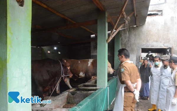 Thumbnail Berita - Bergerak Cepat Tangani PMK, Pj Bupati Bondowoso Tinjau Langsung Vaksinasi