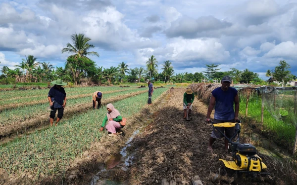 Klaster Barokah Sayur: Transformasi Pertanian di Isano Mbias Berkat Program BRI