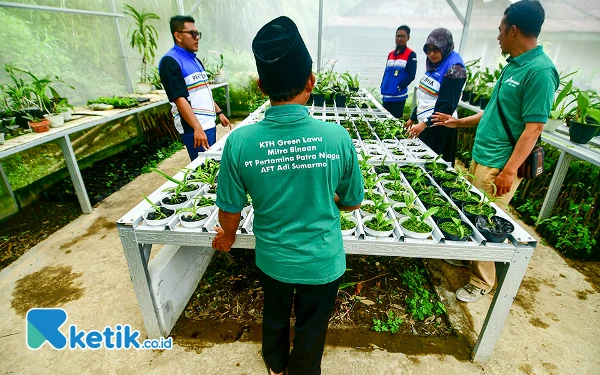 Thumbnail Sejumlah pegawai PT Pertamina Patra Niaga DPPU Adi Soemarmo bersama penyuluh dari Dinas Lingkungan Hidup (DLH) Kabupaten Karanganyar serta perwakilan Kelompok Tani Hutan (KTH) Green Lawu binaan Pertamina melakukan monitoring anggrek endemik lawu dan nusantara di kawasan Taman Hutan Raya (Tahura) KGPAA Mangkunagoro 1 Kabupaten Karanganyar, Rabu (22 Januari 2025). Lewat program Konservasi Keanekaragaman Hayati Gunung Lawu, Pertamina Patra Niaga DPPU Adi Soemarmo bekerjasama dengan Tahura KGPAA Mangkunagoro1 dan DLH Kabupaten Karanganyar membudidayakan angrek endemik lawu dan nusantara yang terancam punah akibat kerusakan habitat maupun perburuan ilegal. (Foto: Achmad Fazeri/Ketik.co.id)