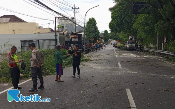 Thumbnail Berita - Pohon Tumbang di Kota Batu Sebabkan Kemacetan Panjang