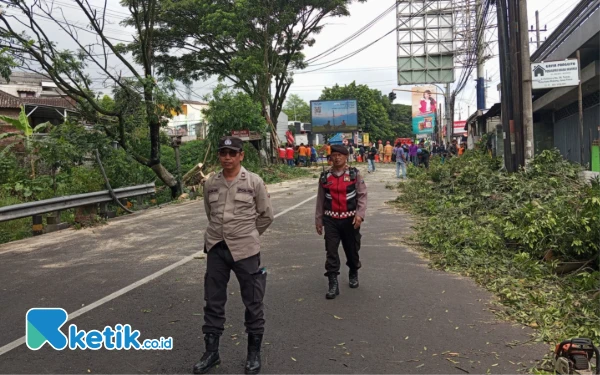 Thumbnail Berita - Gerak Cepat Polres Batu Evakuasi Pohon Tumbang di Jalan Patimura