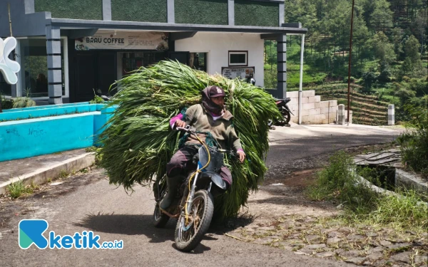 Thumbnail Macet di Pujon-Batu? Tenang, Ada Jalur Alternatif Ini