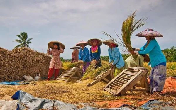 Thumbnail Berita - Perum Bulog Mulai Serap Gabah Beras Sesuai Kualitas dan HPP