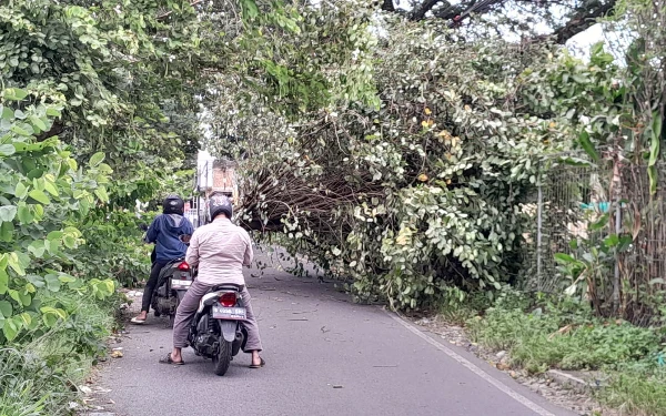 Thumbnail Berita - Waspada! BMKG Perkirakan Angin Kencang di Jatim Terjadi hingga 5 Februari 2025