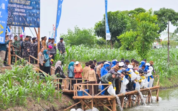 TNI AL Batalyon Infanteri 7 Marinir Teluk Pandan Wujudkan Ketahanan Pangan Nasional Lewat Bakti Sosial dan Kesehatan