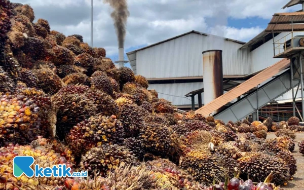 Thumbnail Berita - Dukung Pembangunan Pabrik Sawit PT Ensem Abadi di Abdya, SaKA: Disambut Baik Petani