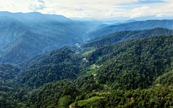 Thumbnail Berita - Mantan Bupati Aceh Selatan Disebut Miliki Tanah di Abdya, Diprotes Pemilik Lahan