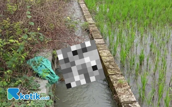 Thumbnail Berita - Pemancing di Jombang Temukan Sosok Mayat Tanpa Kepala di Saluran Irigasi, Dikira Boneka Sawah