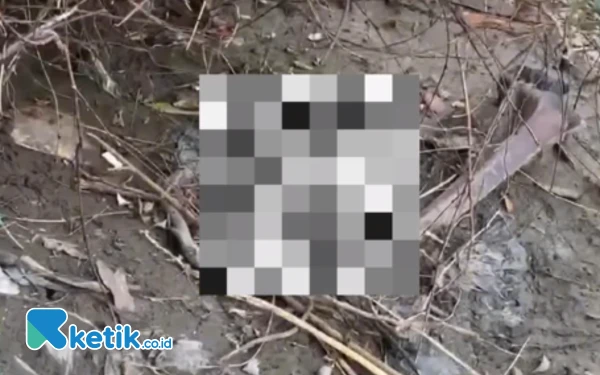 Thumbnail Berita - Warga Jombang Temukan Potongan Kepala Tergeletak di Pinggir Sungai