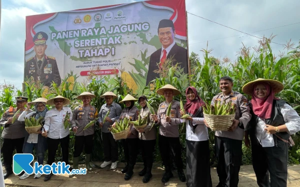 Thumbnail Berita - Polres Batu Panen Perdana Jagung di Lahan Seluas 5 Hektare