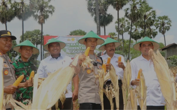 Pemkab Tuban Panen Jagung Bersama Stakeholder dan Bulog