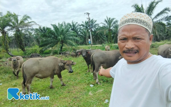 Thumbnail Berita - Harga Daging Meugang di Aceh Singkil Rp 160 Ribu Per Kilogram