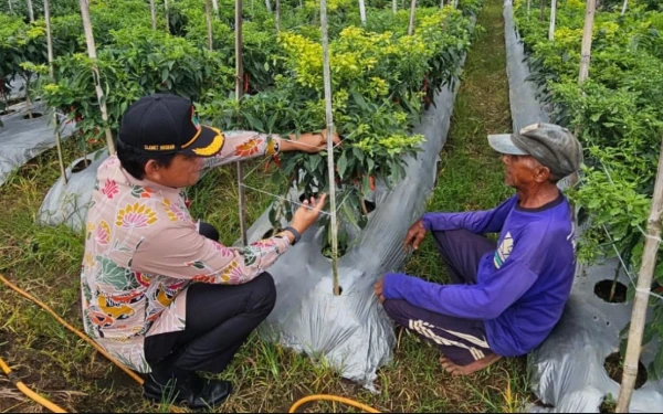 Thumbnail Berita - Dispangtan Kota Malang Ajak Gapoktan Pasok Komoditas di GPM