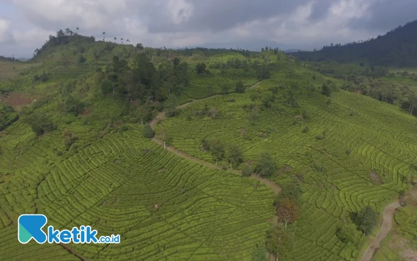 Thumbnail Berita - PTPN I Regional 2 Ajak Semua Elemen Jaga Kelestarian Alam Wilayah Agrowisata Gunung Mas