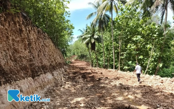 Thumbnail Berita - Tak Terimbas Efisiensi, Jalan Srau-Watukarung Pacitan Diaspal Tahun Ini