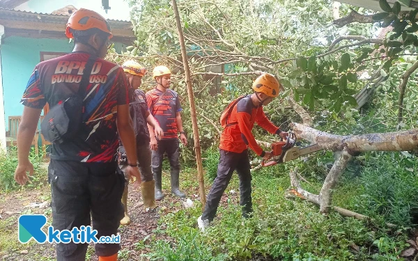 Thumbnail Berita - Angin Kencang Sebabkan Pohon Tumbang hingga Rumah Rusak di Bondowoso