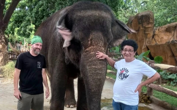 Foto Singky saat melakukan kunjungan melihat keadaan gajah di KBS. (Foto: Dok pribadi to Ketik.co.id)