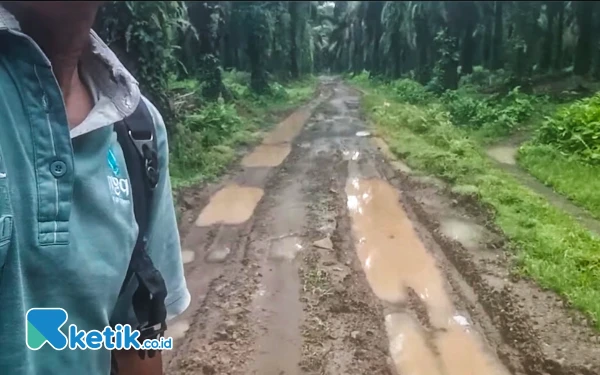 Foto Ishak saat berada di salah satu kondisi Jalan Produksi yang terbilang buruk di sekitaran Afdeling 1, PTPN IV Regional II Kebun Berangir, Kecamatan NA IX – X, Kabupaten Labura. (Foto: Ishak for Ketik.co.id)