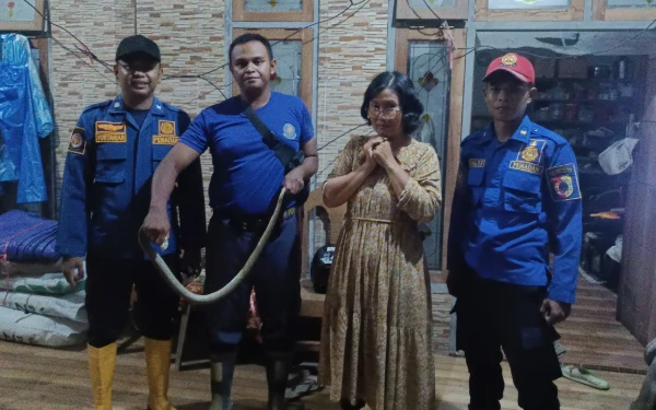 Warga Panik Saat Hendak Santap Sahur, Gara-gara Rumahnya Dimasuki Ular King Kobra 1,5 Meter