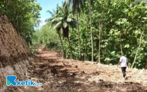 Thumbnail Berita - Jalan Srau-Watukarung Pacitan Diperlebar 10 Meter, Target Rampung Juli 2025