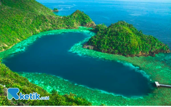 Thumbnail Berita - HUT Ke-22 Tahun Kabupaten Raja Ampat: Menelisik Awal Terbentuknya Raja Ampat hingga Mendunia