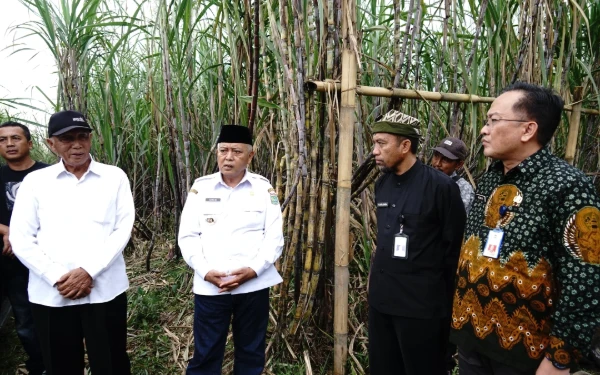 Foto Bupati Malang Sanusi saat meninjau Tebu Cening di Banyuwangi. (Foto: Prokopim Kabupaten Malang)