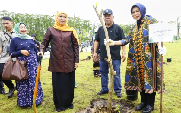 Thumbnail Berita - Tanam Pohon Maja di IKN, Khofifah Tumbuhkan Optimisme Wujudkan Jatim Gerbang Baru Nusantara