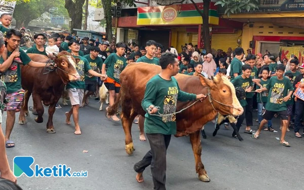 Thumbnail Berita - Menjelang Idul Adha, 7.500 Hewan Kurban di Kota Malang Segera Diperiksa