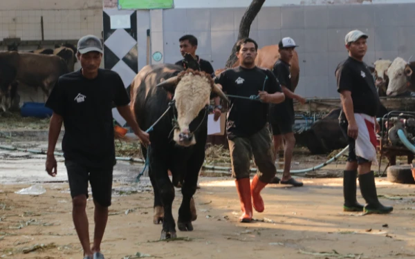 Thumbnail Berita - DKPP Surabaya Perkenalkan Aplikasi Baru untuk Lalu Lintas Hewan Kurban