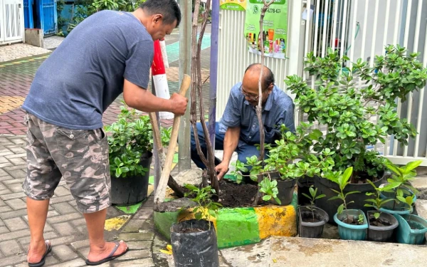 Foto Warga kompak, memanen kompos yang sengaja dibuat dari buangan sisa sampah organik rumah tangga di kampung tersebut (Foto: Dok RT. 23 RW. 07, Sekardangan, Kec Sidoarjo, Kab Sidoarjo)