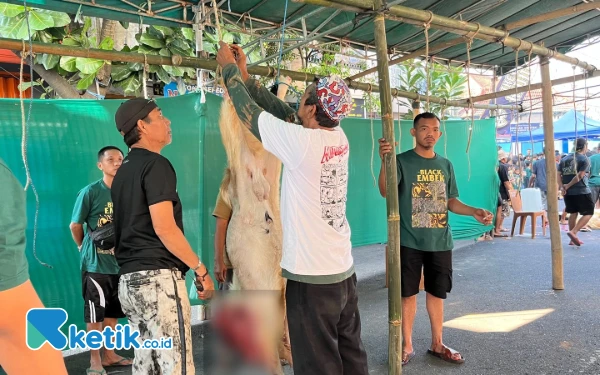 Thumbnail Berita - Sambut Iduladha, 750 Mahasiswa Dikerahkan Pantau Kualitas Hewan Kurban di Kota Malang