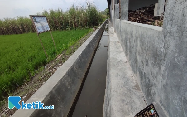 Foto Kondisi drainase yang dibangun menggunakan anggaran BKK 2025 senilai Rp 300 juta sudah mengalami keretakan di Dusun Ngaren, Desa Plosogenuk, Kecamatan Perak, Kabupaten Jombang. (Foto: Syaiful Arif/ketik.co.id)