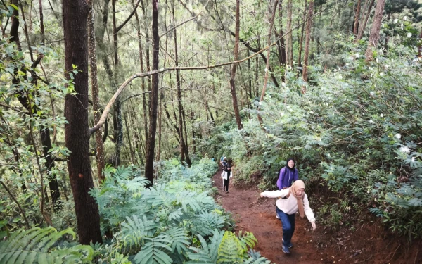 Thumbnail Kondisi jalur pendakian Gunung Bokong menuju area Latar Ombo atau pos 3. (Foto: Sholeh/Ketik.co.id)
