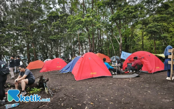 Thumbnail Camping ground di puncak Gunung Bokong bagi pendaki yang menginap agar bisa menikmati city light di malam hari. (Foto: Sholeh/Ketik.co.id)