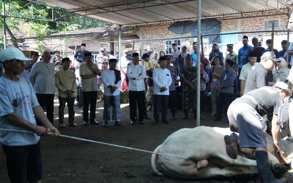 Foto Salahsatu titik lokasi penyembelihan hewan kurban di wilayah Sleman. (Foto: Prokopim Sleman/Ketik.co.id)